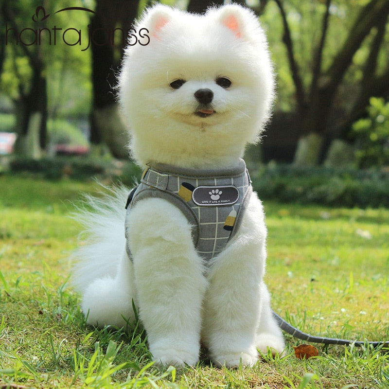 Adjustable Dog Harness