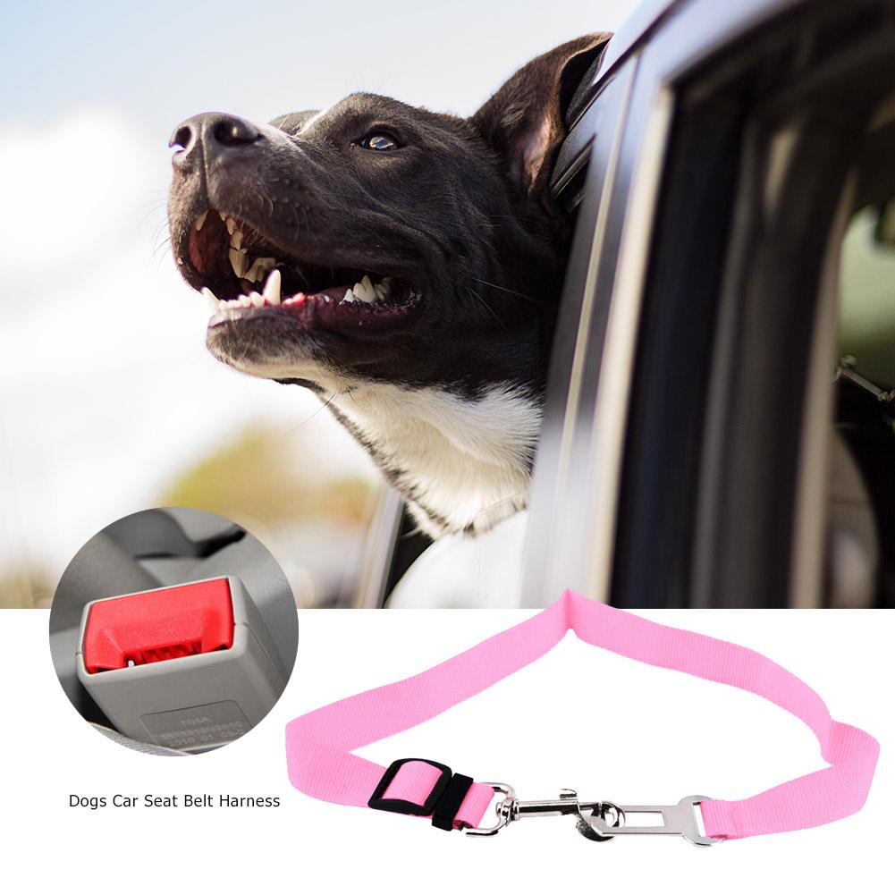 Pet Car Safety Belt